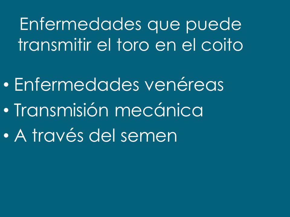 Enfermedades que puede transmitir el toro en el coito