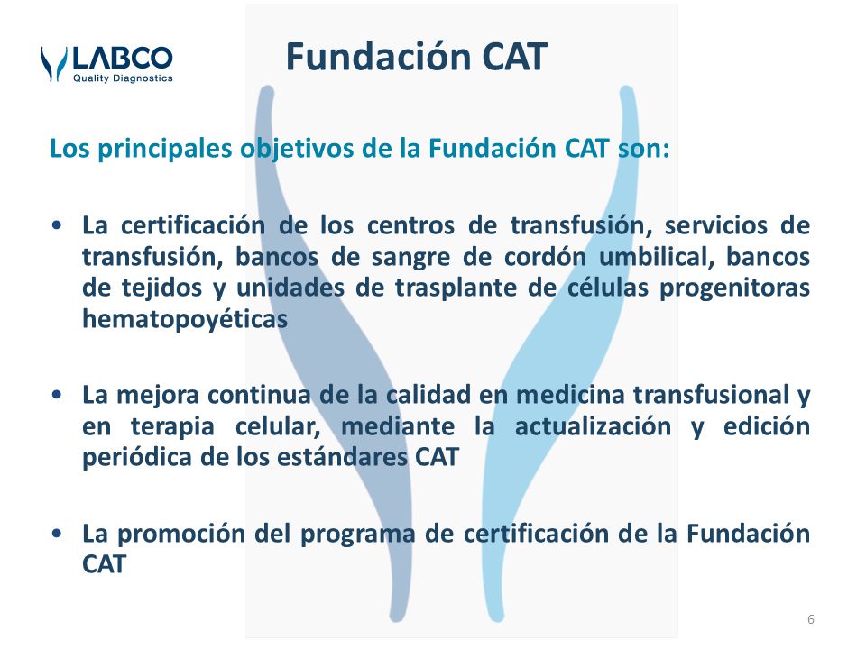Fundación CAT Los principales objetivos de la Fundación CAT son: