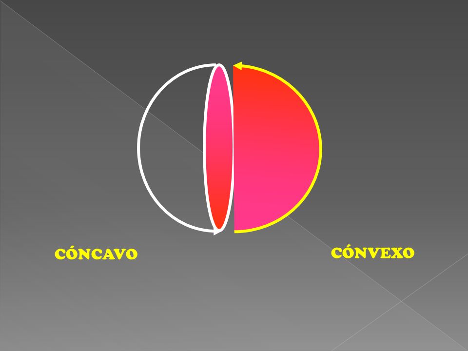 CÓNCAVO CÓNVEXO