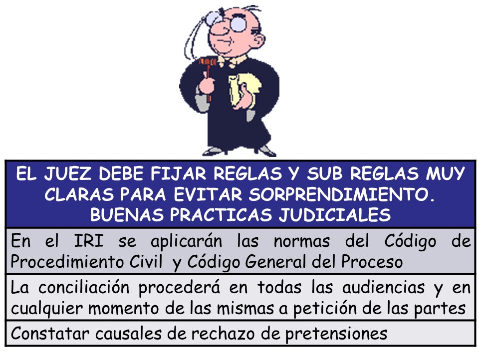 EL JUEZ DEBE FIJAR REGLAS Y SUB REGLAS MUY CLARAS PARA EVITAR SORPRENDIMIENTO. BUENAS PRACTICAS JUDICIALES