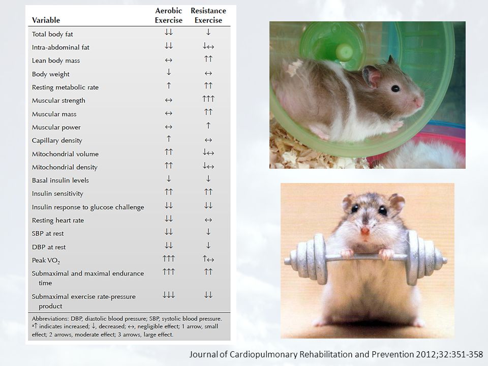 Journal of Cardiopulmonary Rehabilitation and Prevention 2012;32: