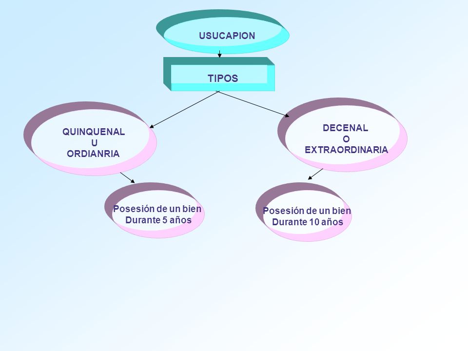 TIPOS USUCAPION DECENAL QUINQUENAL O U EXTRAORDINARIA ORDIANRIA
