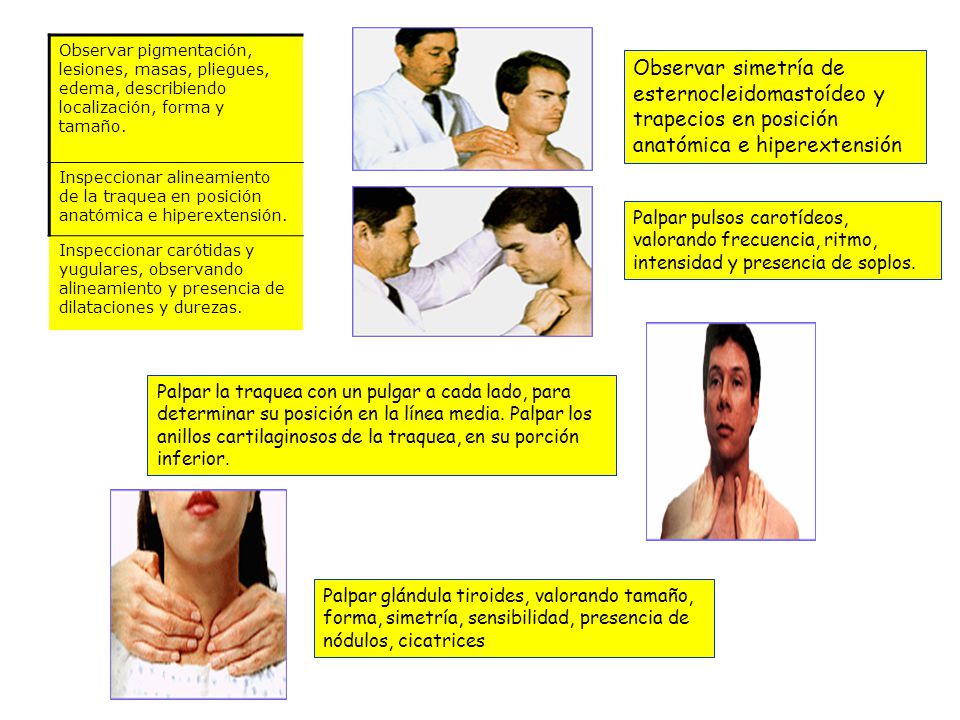 Observar pigmentación, lesiones, masas, pliegues, edema, describiendo localización, forma y tamaño.