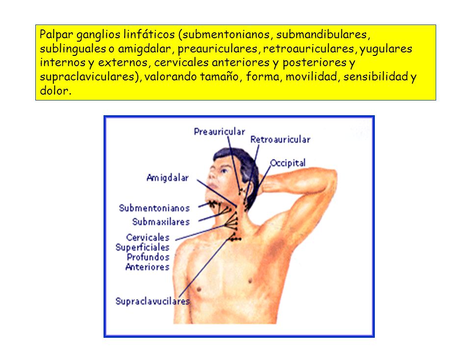 Palpar ganglios linfáticos (submentonianos, submandibulares, sublinguales o amigdalar, preauriculares, retroauriculares, yugulares internos y externos, cervicales anteriores y posteriores y supraclaviculares), valorando tamaño, forma, movilidad, sensibilidad y dolor.