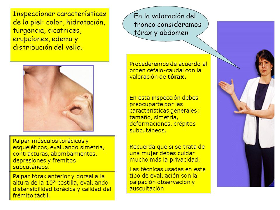 En la valoración del tronco consideramos tórax y abdomen