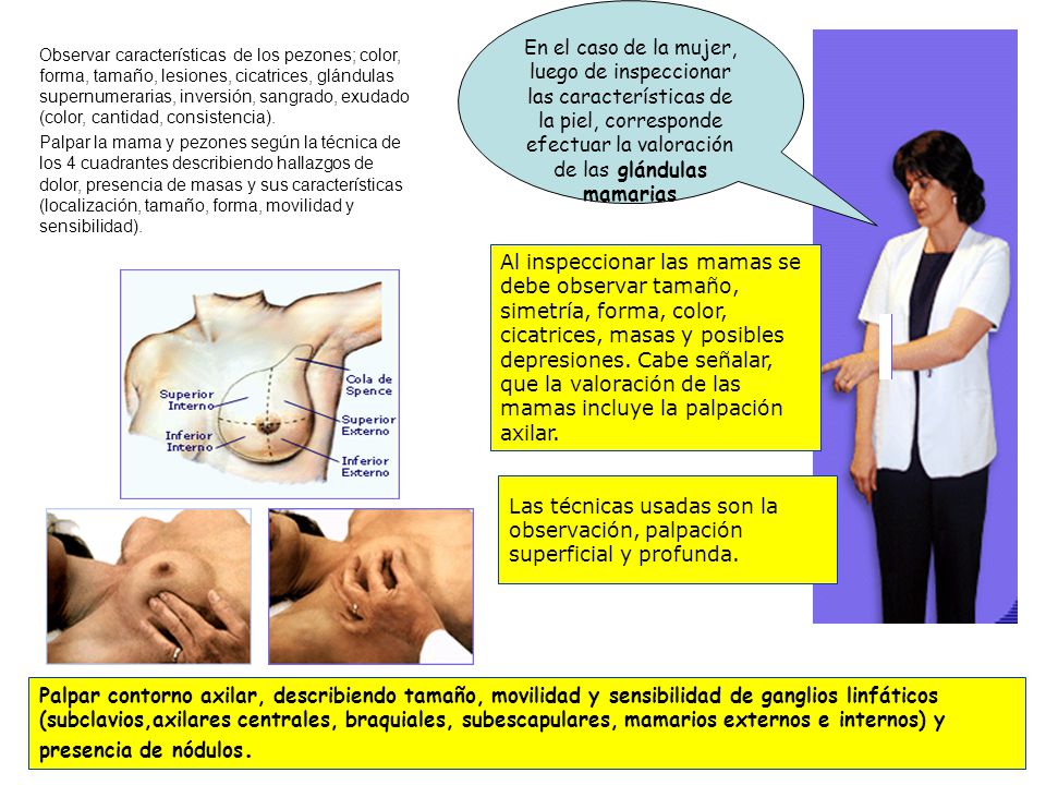 En el caso de la mujer, luego de inspeccionar las características de la piel, corresponde efectuar la valoración de las glándulas mamarias