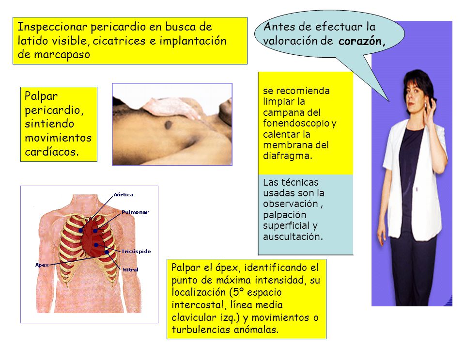 Inspeccionar pericardio en busca de latido visible, cicatrices e implantación de marcapaso
