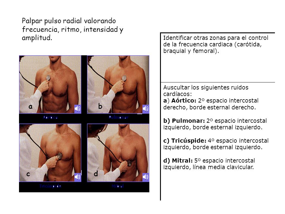 Palpar pulso radial valorando frecuencia, ritmo, intensidad y amplitud.