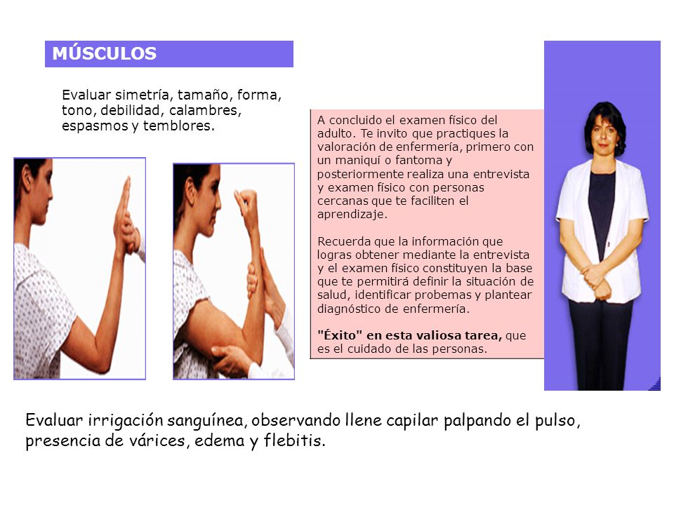 MÚSCULOS Evaluar simetría, tamaño, forma, tono, debilidad, calambres, espasmos y temblores.