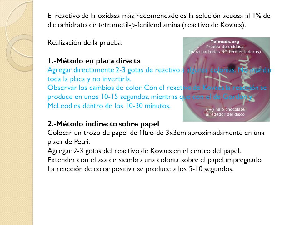 El reactivo de la oxidasa más recomendado es la solución acuosa al 1% de diclorhidrato de tetrametil-p-fenilendiamina (reactivo de Kovacs).