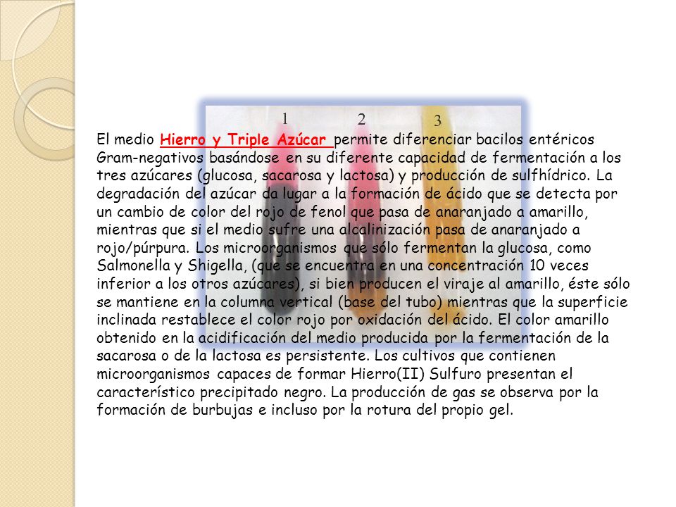 El medio Hierro y Triple Azúcar permite diferenciar bacilos entéricos Gram-negativos basándose en su diferente capacidad de fermentación a los tres azúcares (glucosa, sacarosa y lactosa) y producción de sulfhídrico.