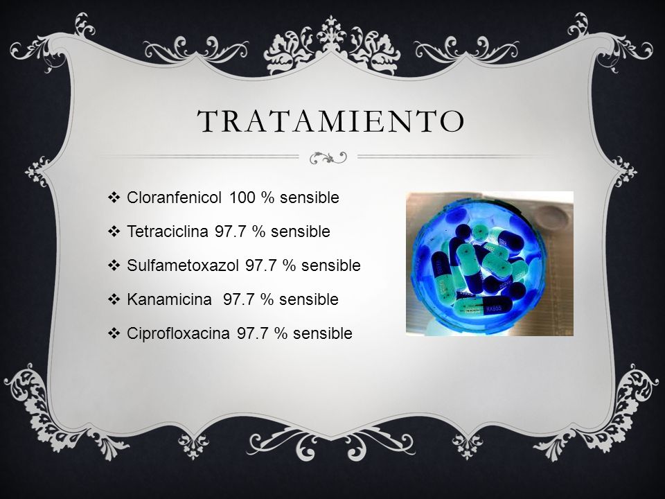 tratamiento Cloranfenicol 100 % sensible Tetraciclina 97.7 % sensible