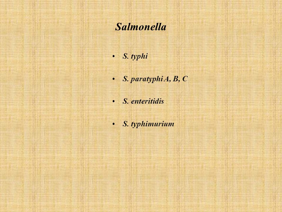 Salmonella S. typhi S. paratyphi A, B, C S. enteritidis S. typhimurium