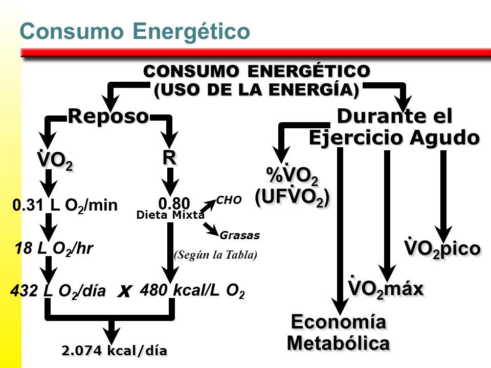 Consumo Energético Reposo Durante el Ejercicio Agudo . VO2 R . %VO2