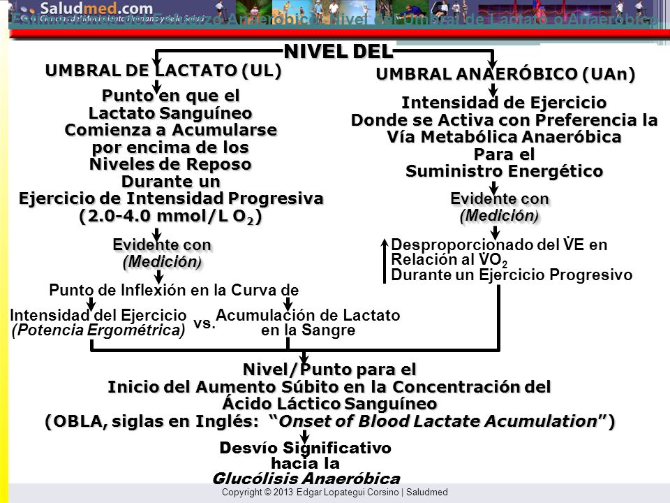 Estimaciones del Esfuerzo Anaeróbico: Nivel del Umbral de Lactato o Anaeróbico