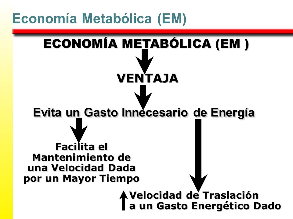 ECONOMÍA METABÓLICA (EM ) Evita un Gasto Innecesario de Energía