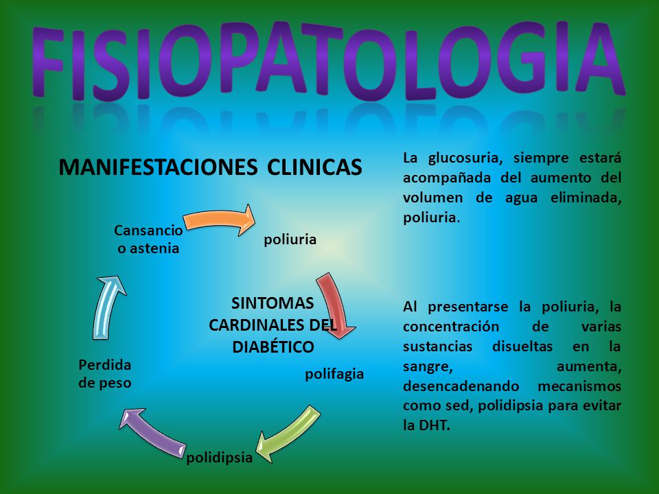 porque hay polifagia en la diabetes