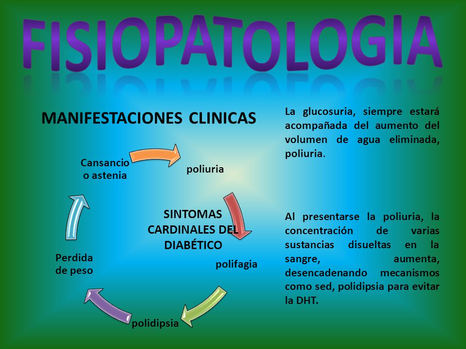 porque hay polifagia en la diabetes)