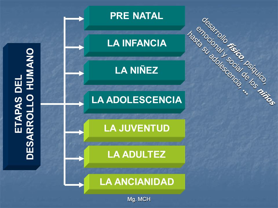 PRE NATAL LA INFANCIA LA NIÑEZ DESARROLLO HUMANO ETAPAS DEL