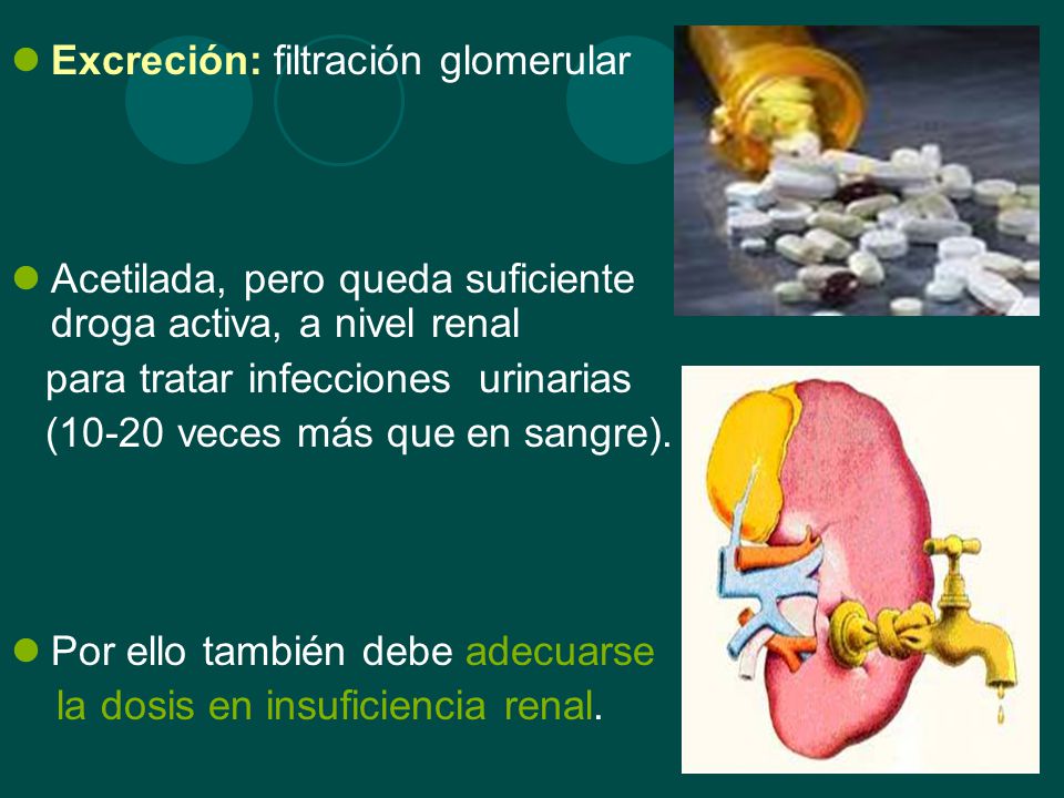 Excreción: filtración glomerular