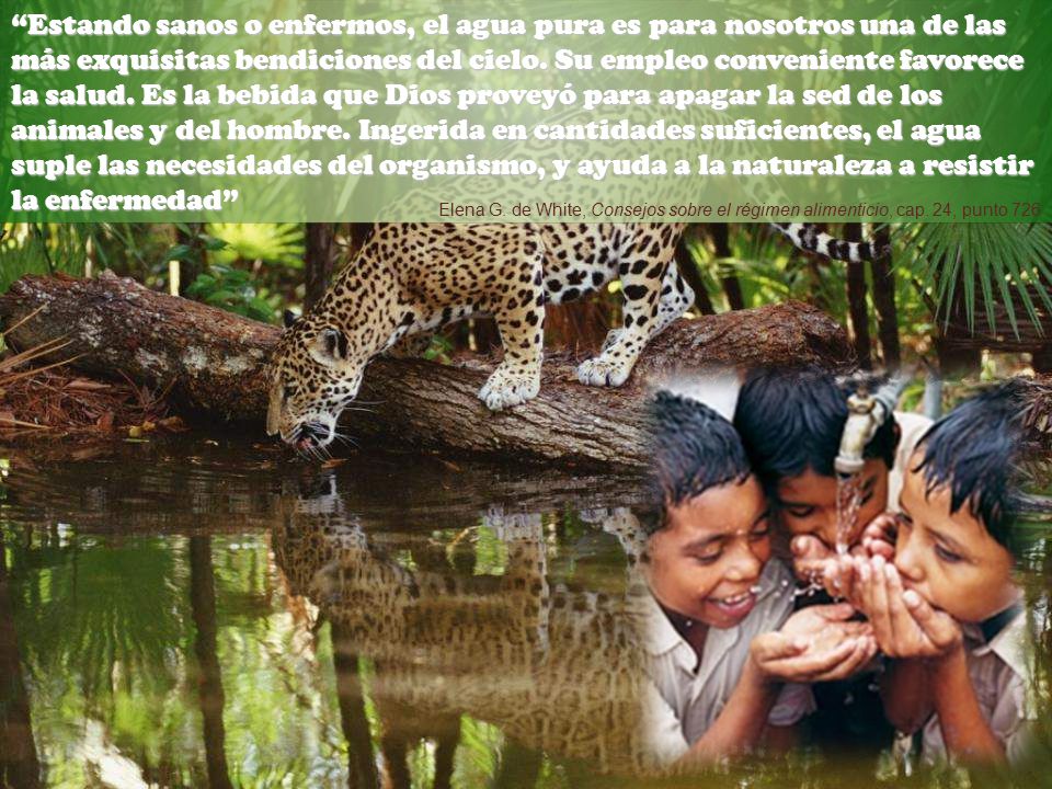 Estando sanos o enfermos, el agua pura es para nosotros una de las más exquisitas bendiciones del cielo. Su empleo conveniente favorece la salud. Es la bebida que Dios proveyó para apagar la sed de los animales y del hombre. Ingerida en cantidades suficientes, el agua suple las necesidades del organismo, y ayuda a la naturaleza a resistir la enfermedad