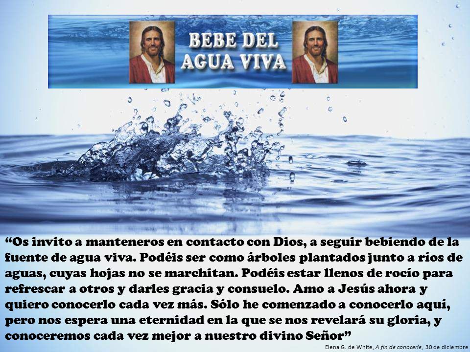 Os invito a manteneros en contacto con Dios, a seguir bebiendo de la fuente de agua viva. Podéis ser como árboles plantados junto a ríos de aguas, cuyas hojas no se marchitan. Podéis estar llenos de rocío para refrescar a otros y darles gracia y consuelo. Amo a Jesús ahora y quiero conocerlo cada vez más. Sólo he comenzado a conocerlo aquí, pero nos espera una eternidad en la que se nos revelará su gloria, y conoceremos cada vez mejor a nuestro divino Señor
