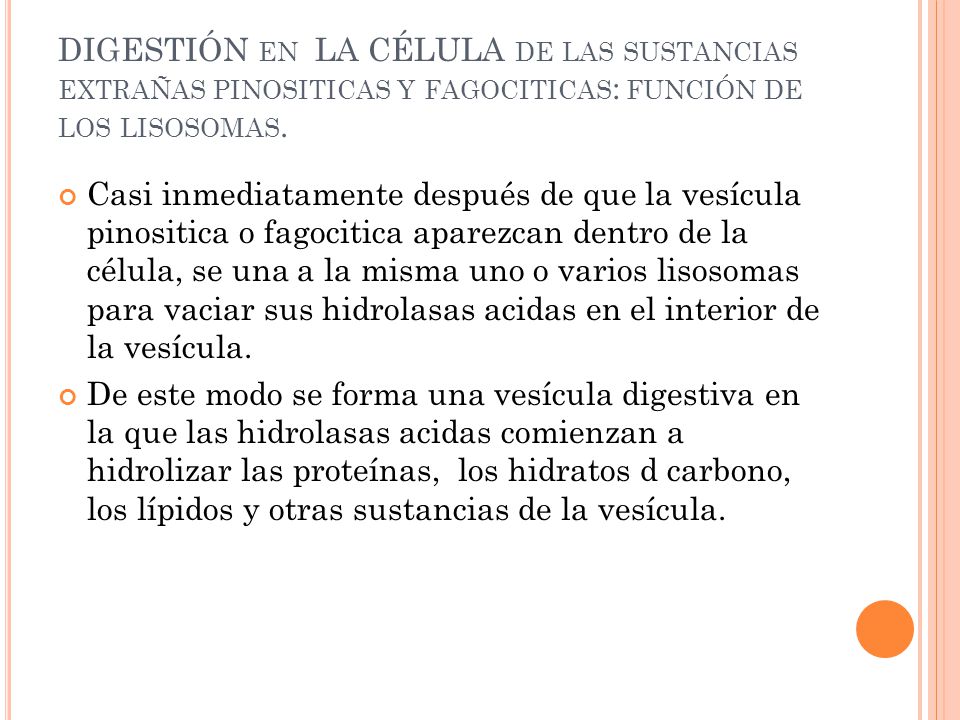 DIGESTIÓN en LA CÉLULA de las sustancias extrañas pinositicas y fagociticas: función de los lisosomas.