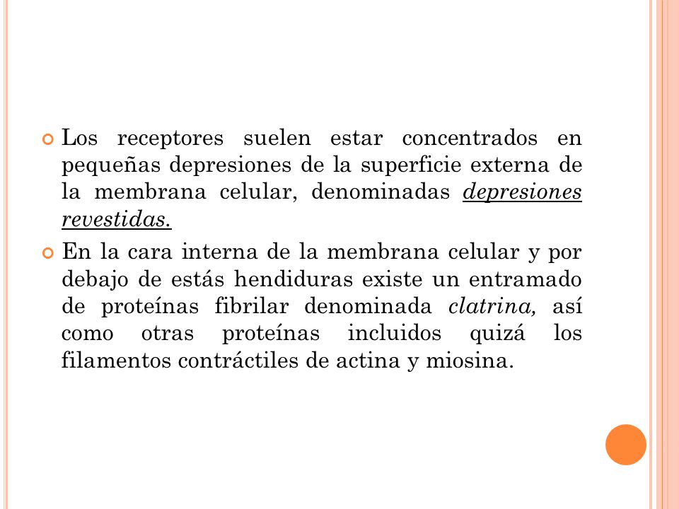 Los receptores suelen estar concentrados en pequeñas depresiones de la superficie externa de la membrana celular, denominadas depresiones revestidas.
