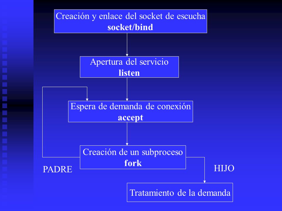 socket/bind listen accept fork