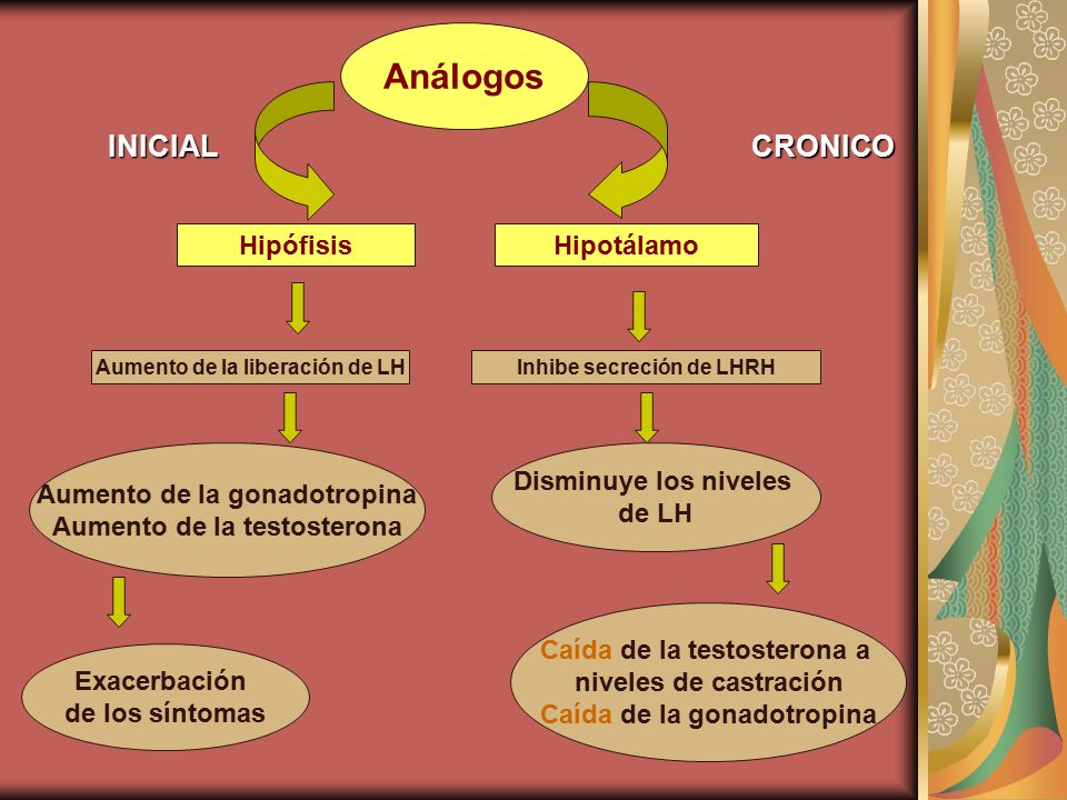 Análogos INICIAL CRONICO Hipófisis Hipotálamo