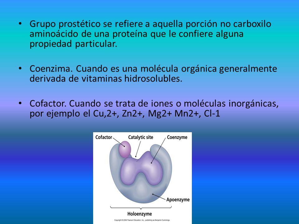 Grupo prostético se refiere a aquella porción no carboxilo aminoácido de una proteína que le confiere alguna propiedad particular.