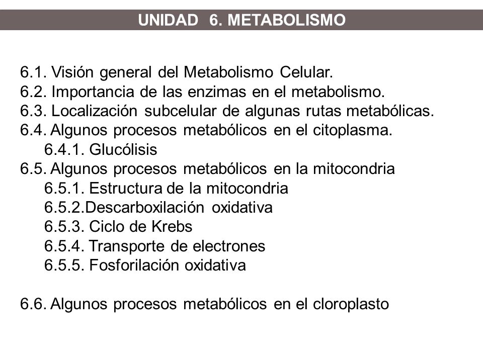 UNIDAD 6. METABOLISMO 6.1. Visión general del Metabolismo Celular Importancia de las enzimas en el metabolismo.