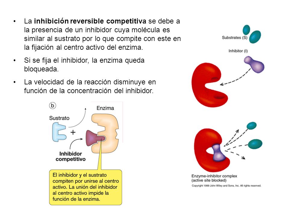 La inhibición reversible competitiva se debe a la presencia de un inhibidor cuya molécula es similar al sustrato por lo que compite con este en la fijación al centro activo del enzima.