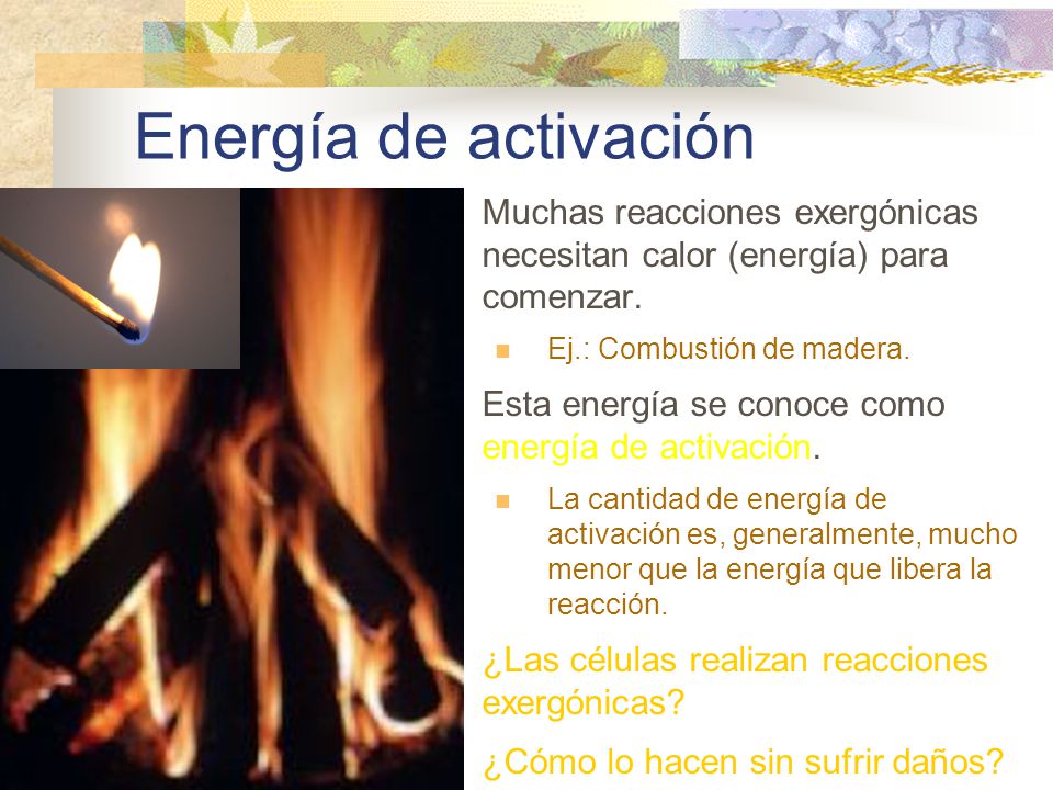 Energía de activación Muchas reacciones exergónicas necesitan calor (energía) para comenzar. Ej.: Combustión de madera.