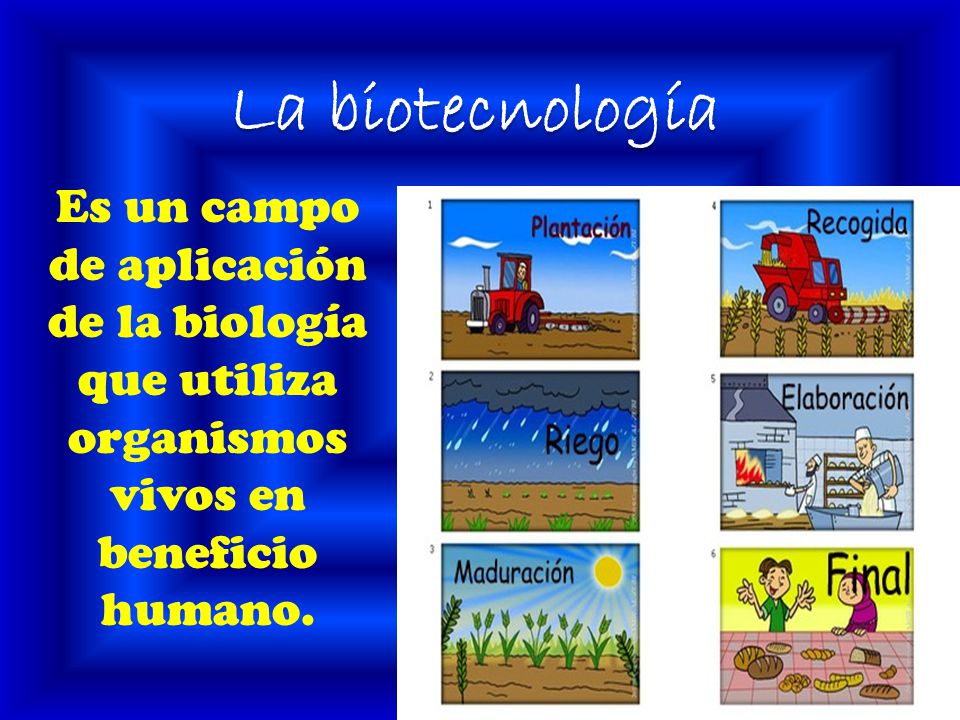 La biotecnología Es un campo de aplicación de la biología que utiliza organismos vivos en beneficio humano.