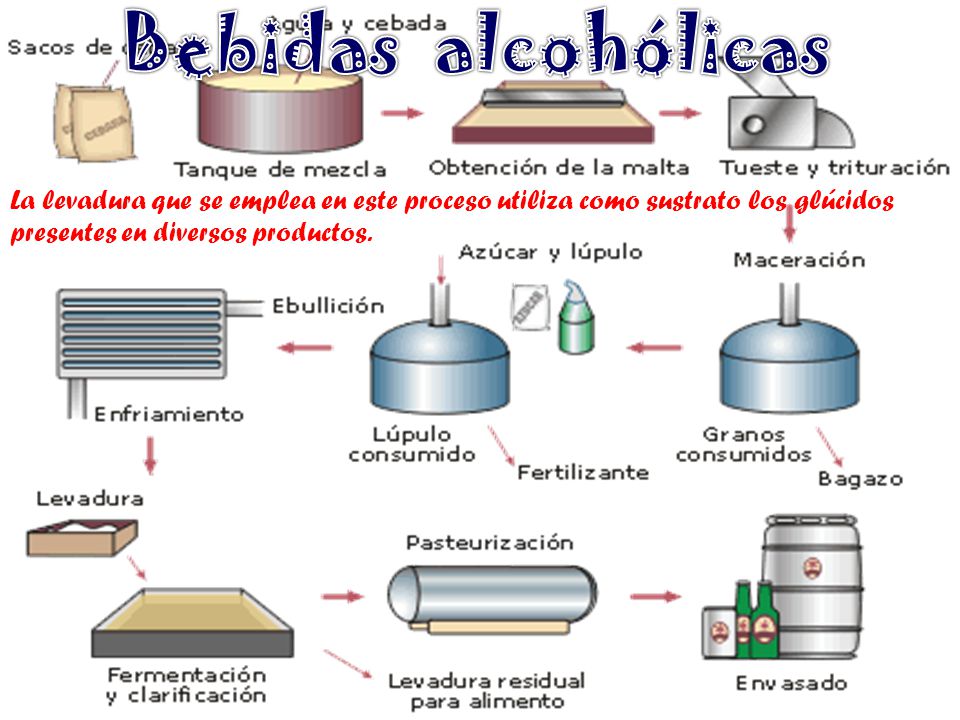Bebidas alcohólicas La levadura que se emplea en este proceso utiliza como sustrato los glúcidos presentes en diversos productos.