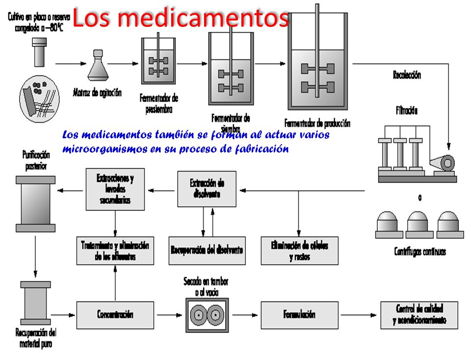 Los medicamentos Los medicamentos también se forman al actuar varios microorganismos en su proceso de fabricación.