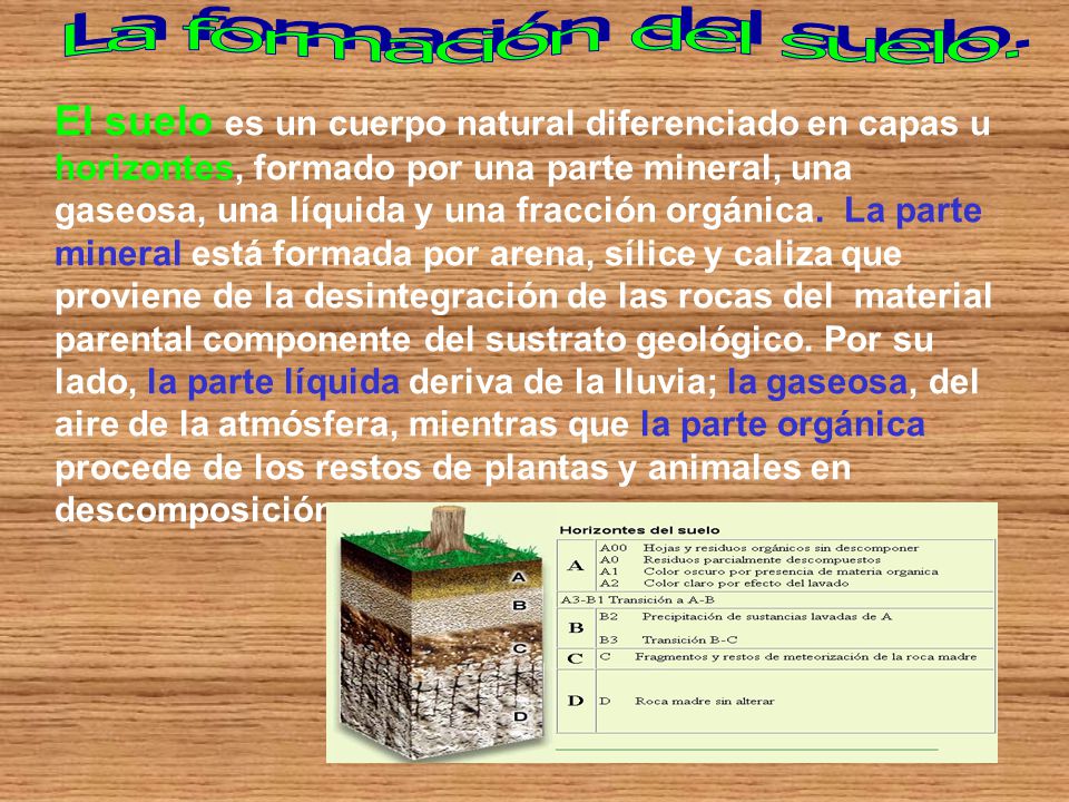 La formación del suelo.