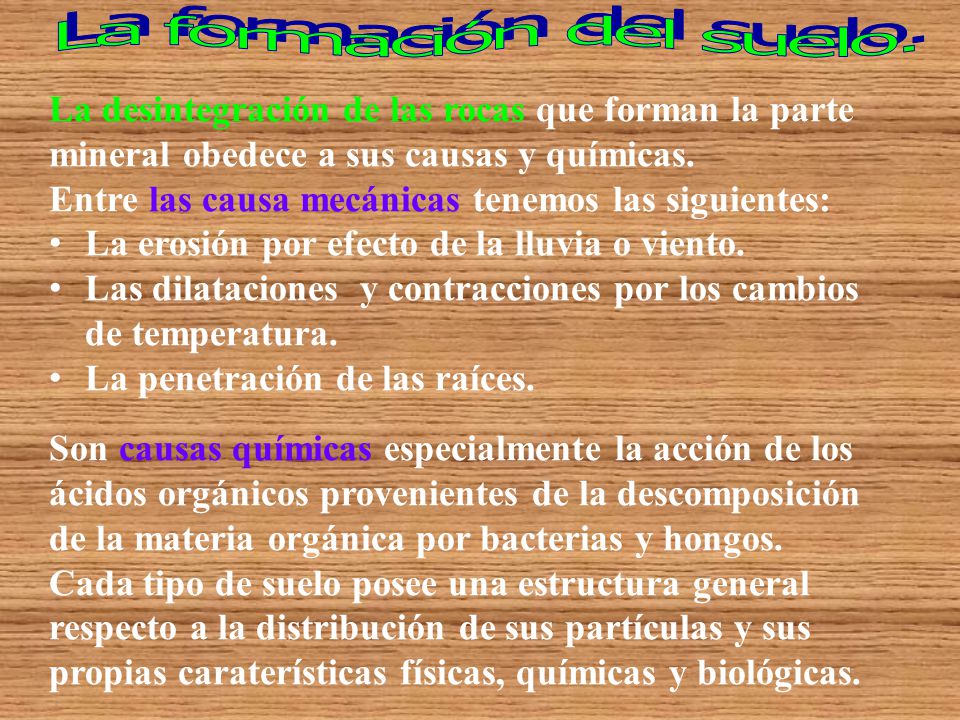 La formación del suelo. La desintegración de las rocas que forman la parte mineral obedece a sus causas y químicas.