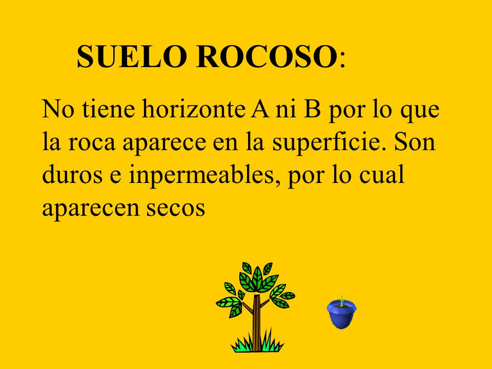 SUELO ROCOSO: No tiene horizonte A ni B por lo que la roca aparece en la superficie.