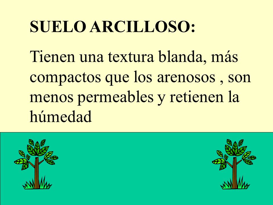 SUELO ARCILLOSO: Tienen una textura blanda, más compactos que los arenosos , son menos permeables y retienen la húmedad.