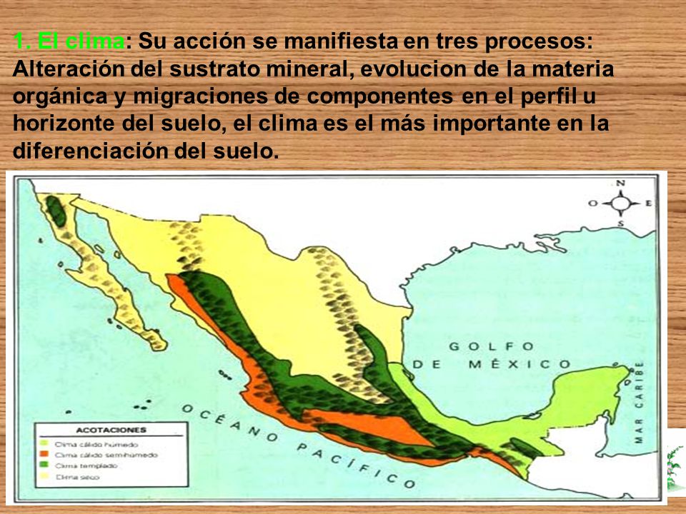 1. El clima: Su acción se manifiesta en tres procesos: