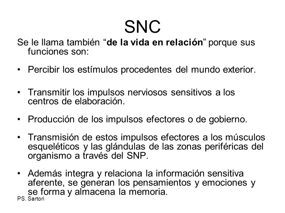 SNC Se le llama también de la vida en relación porque sus funciones son: Percibir los estímulos procedentes del mundo exterior.