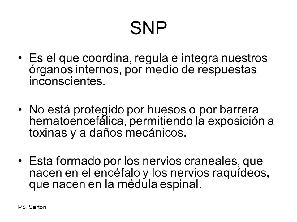 SNP Es el que coordina, regula e integra nuestros órganos internos, por medio de respuestas inconscientes.