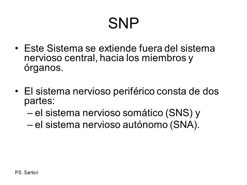 SNP Este Sistema se extiende fuera del sistema nervioso central, hacia los miembros y órganos. El sistema nervioso periférico consta de dos partes: