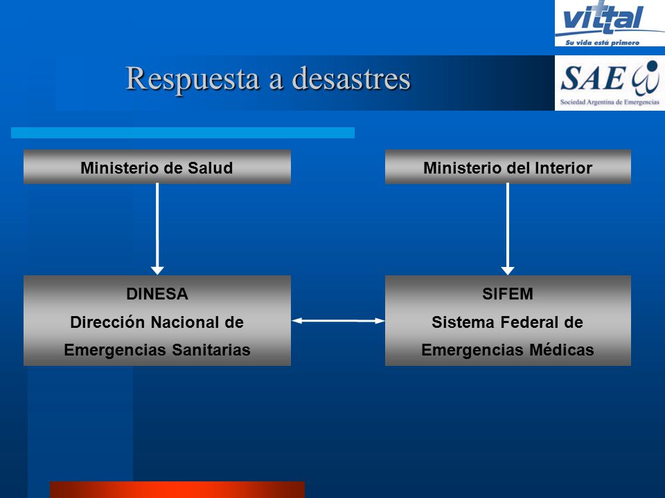 Respuesta a desastres Ministerio de Salud Ministerio del Interior