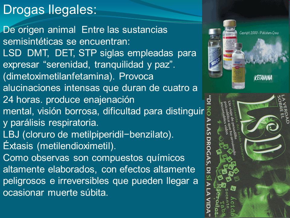 Drogas Ilegales: De origen animal Entre las sustancias semisintéticas se encuentran: