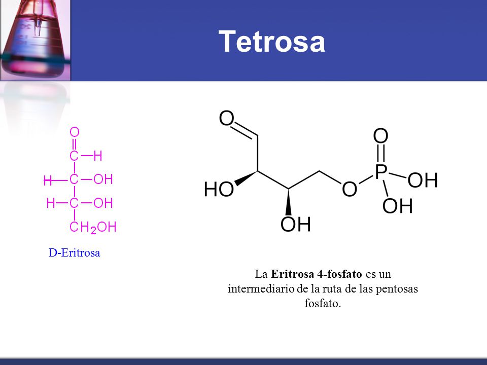 Tetrosa D-Eritrosa La Eritrosa 4-fosfato es un intermediario de la ruta de las pentosas fosfato.