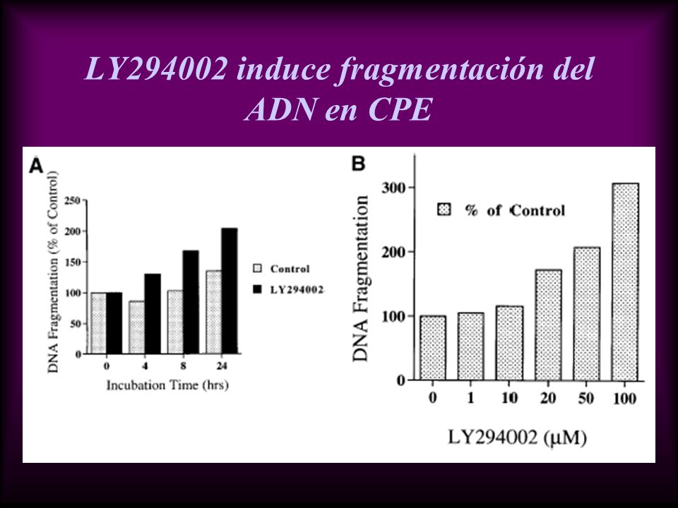 LY induce fragmentación del ADN en CPE