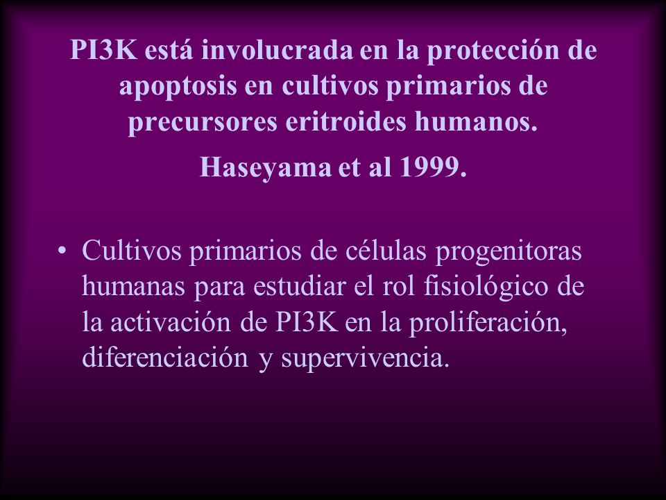 PI3K está involucrada en la protección de apoptosis en cultivos primarios de precursores eritroides humanos. Haseyama et al 1999.